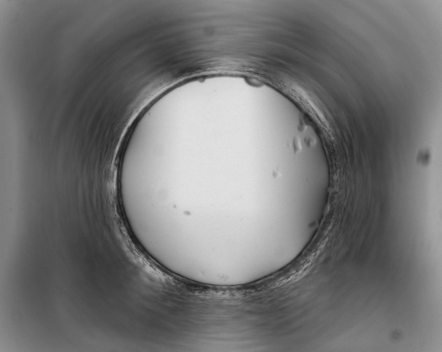 X0000098210900200805151250