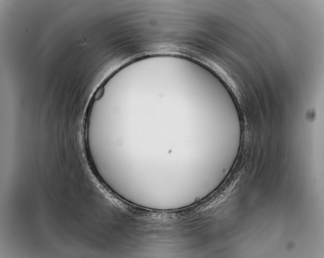 X0000098210901200805151250