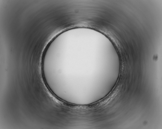 X0000098210902200805151250