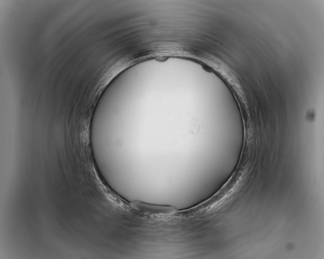 X0000098210905200805151250