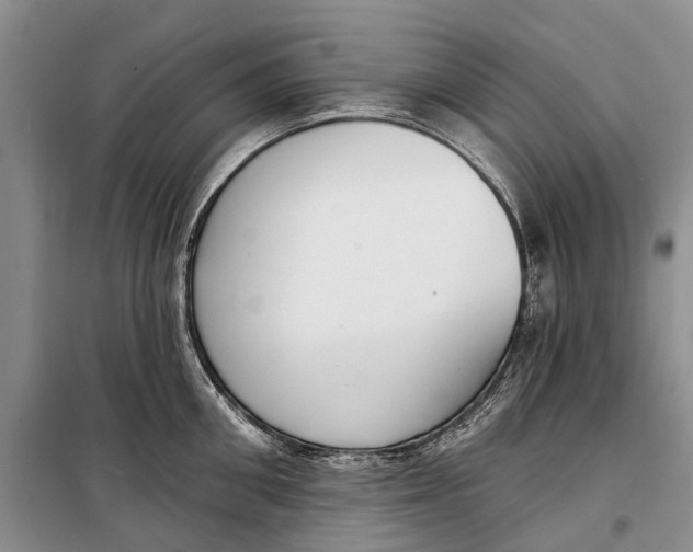 X0000098210906200805151250