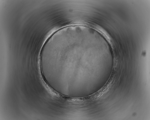 X0000098210907200805151250