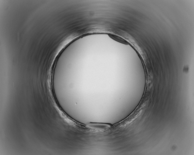 X0000098210909200805151250