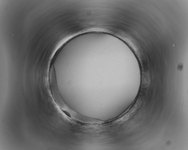 X0000098210910200805151250