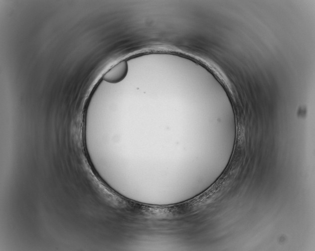 X0000098210911200805151250