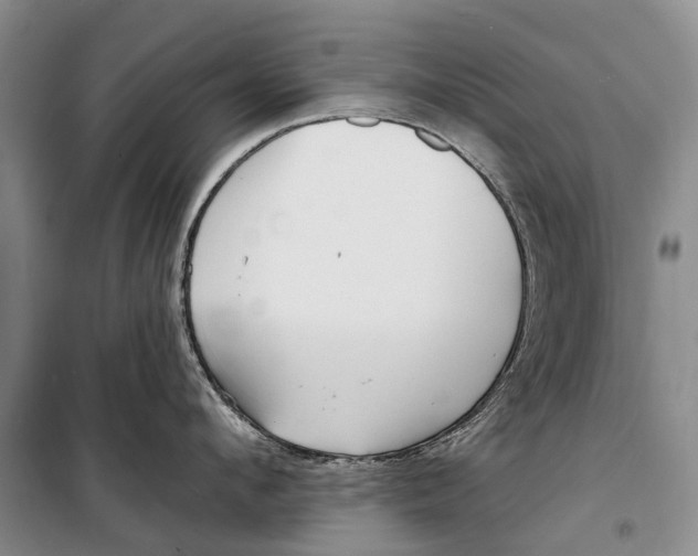 X0000098210912200805151250
