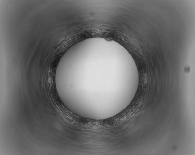 X0000098210914200805151249