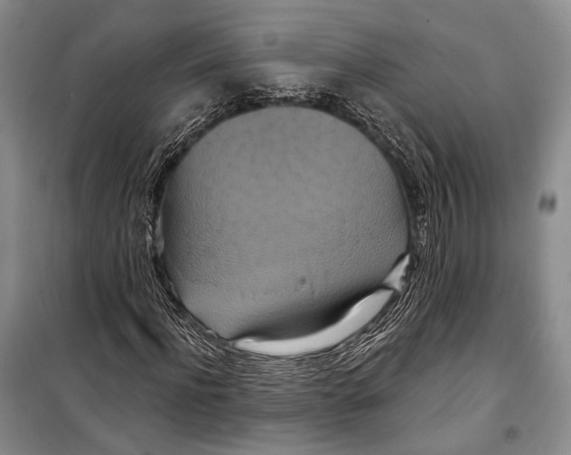 X0000098210916200805151249