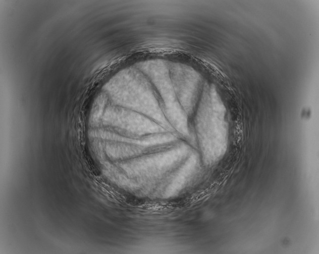X0000098210917200805151249