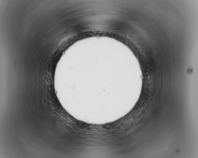 X0000098210918200805151249