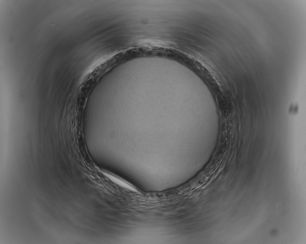 X0000098210919200805151249