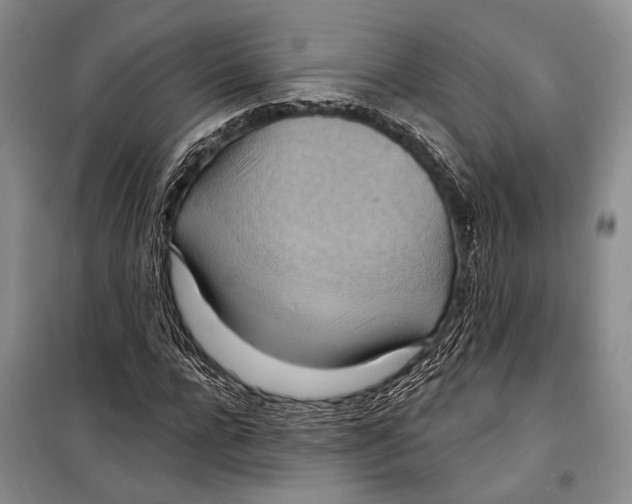 X0000098210920200805151249