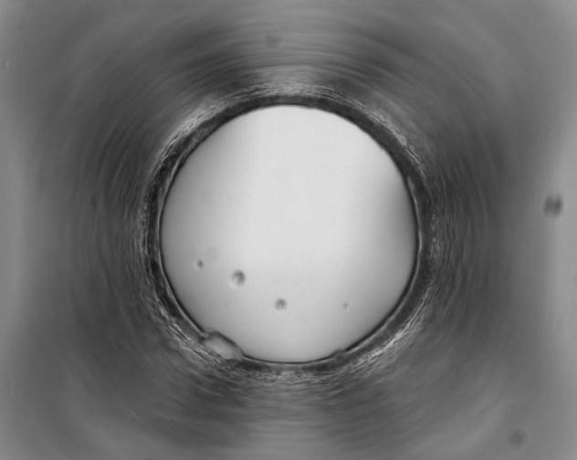 X0000098210922200805151249