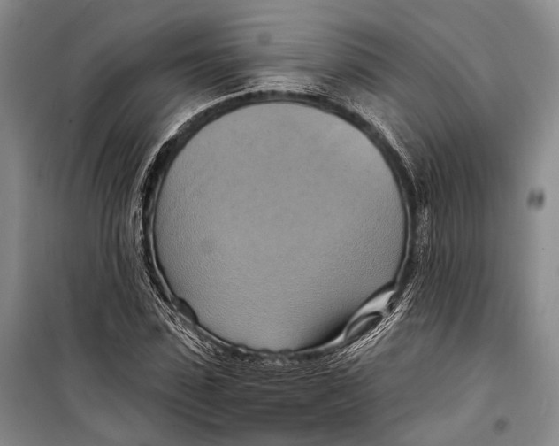 X0000098210923200805151249