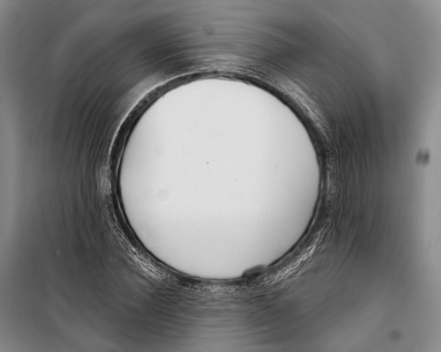 X0000098210924200805151249