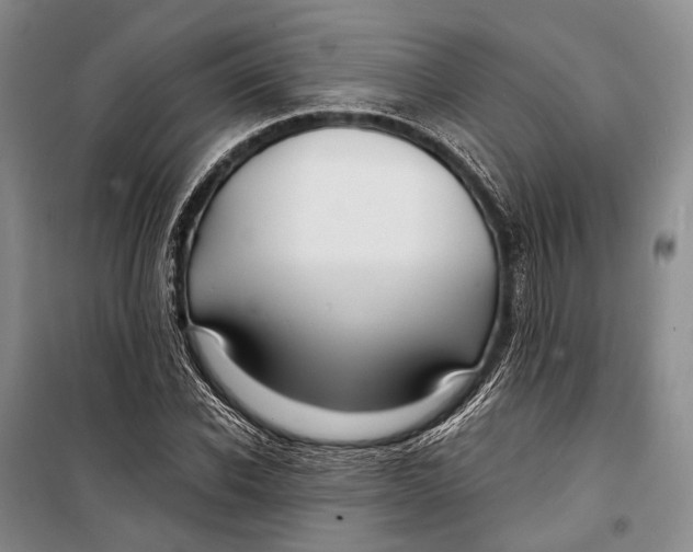 X0000098210926200805151249