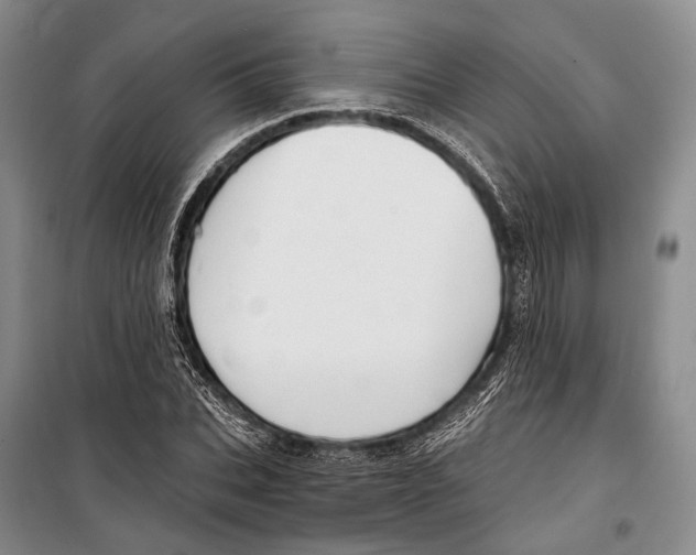 X0000098210927200805151249