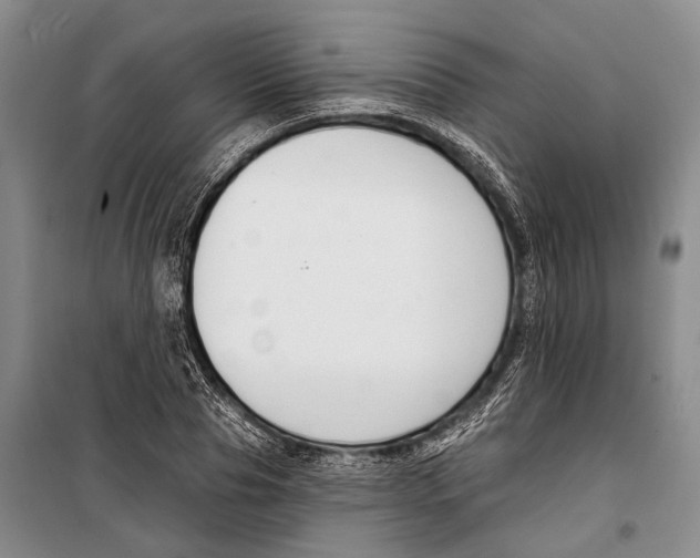 X0000098210929200805151249