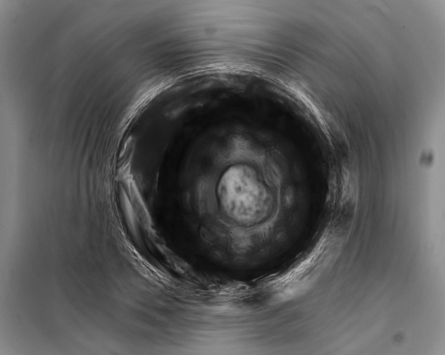 X0000098210930200805151249