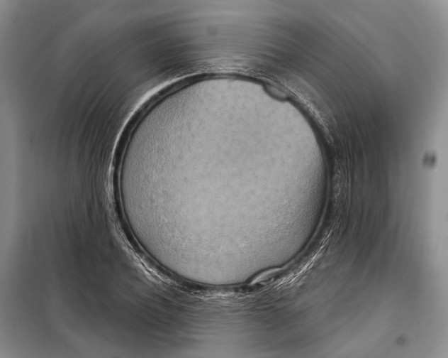 X0000098210932200805151249