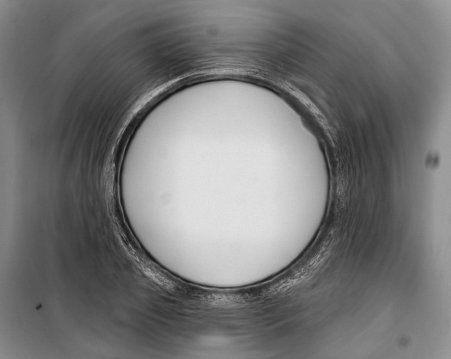 X0000098210933200805151249
