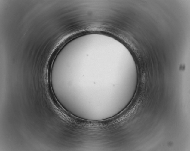 X0000098210934200805151249