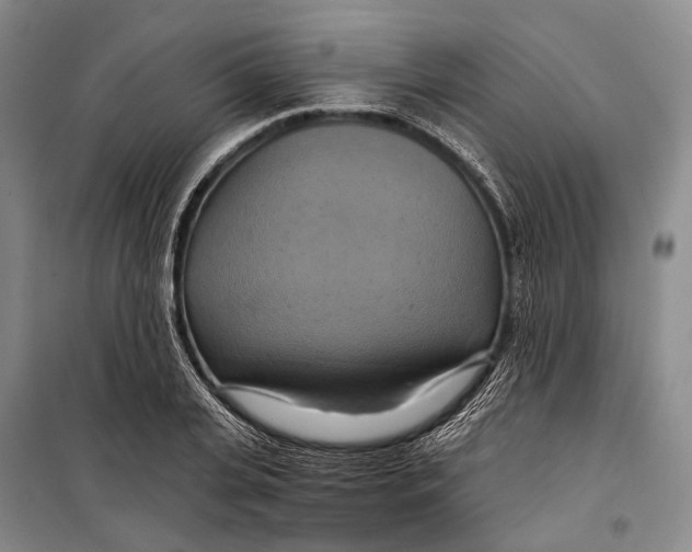 X0000098210935200805151249