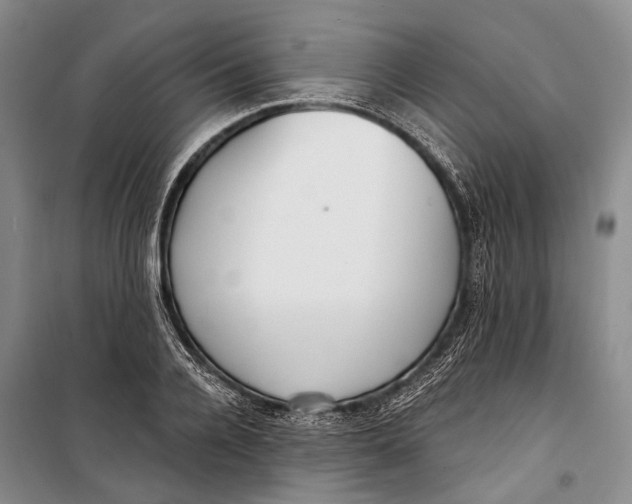 X0000098210936200805151249