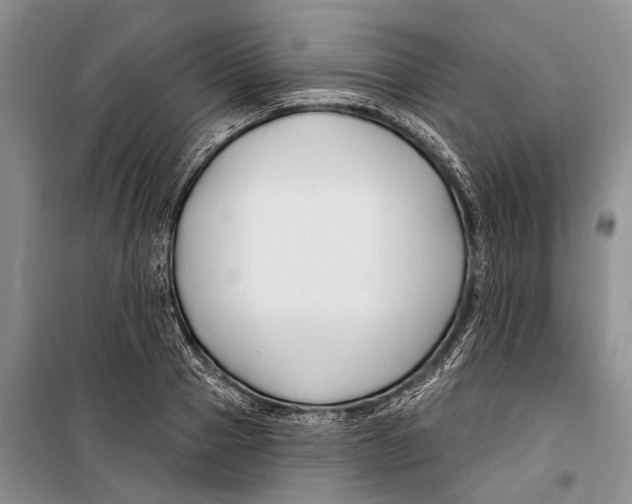X0000098210937200805151249