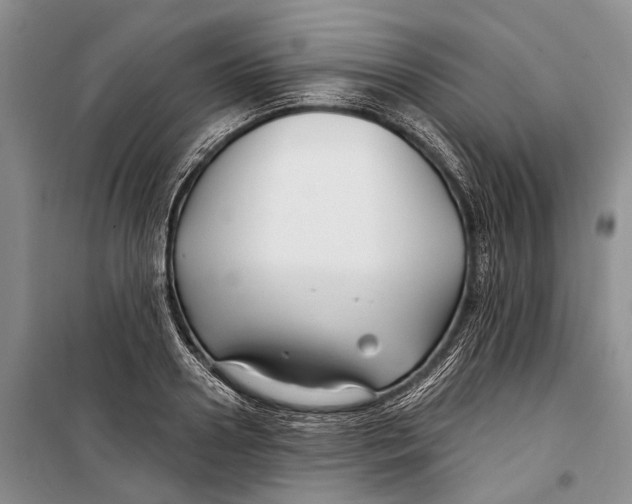 X0000098210938200805151249