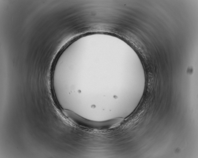 X0000098210942200805151249