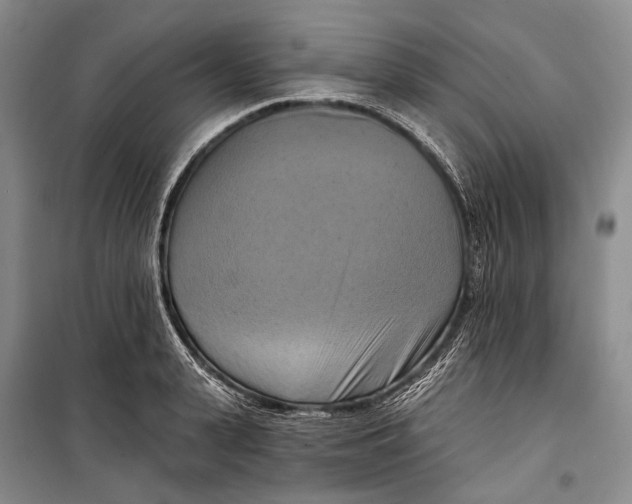 X0000098210943200805151249