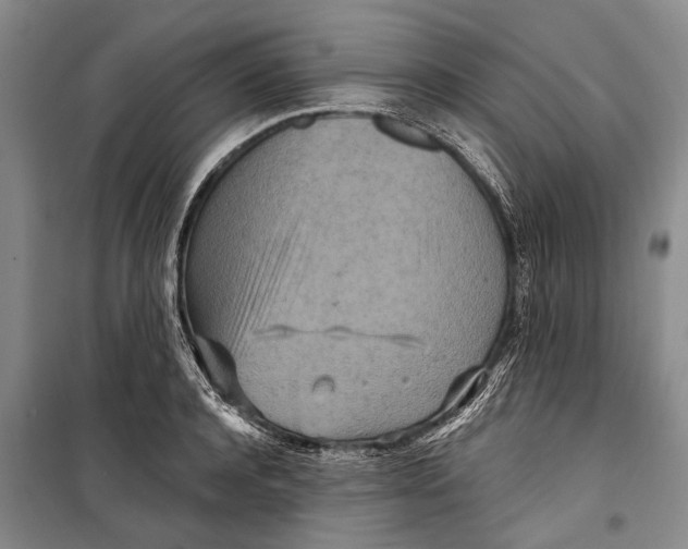 X0000098210944200805151249