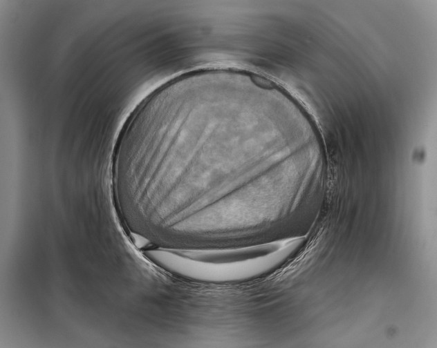 X0000098210951200805151249