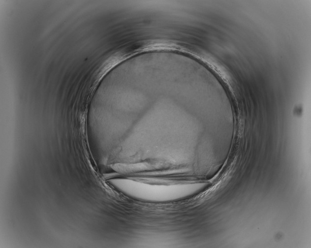 X0000098210953200805151250