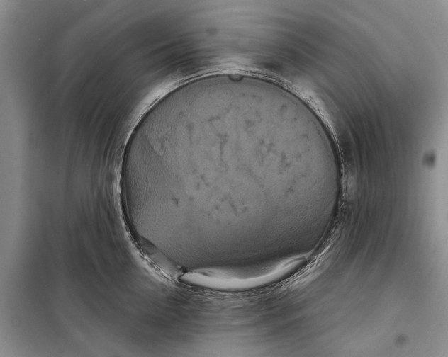 X0000098210954200805151250