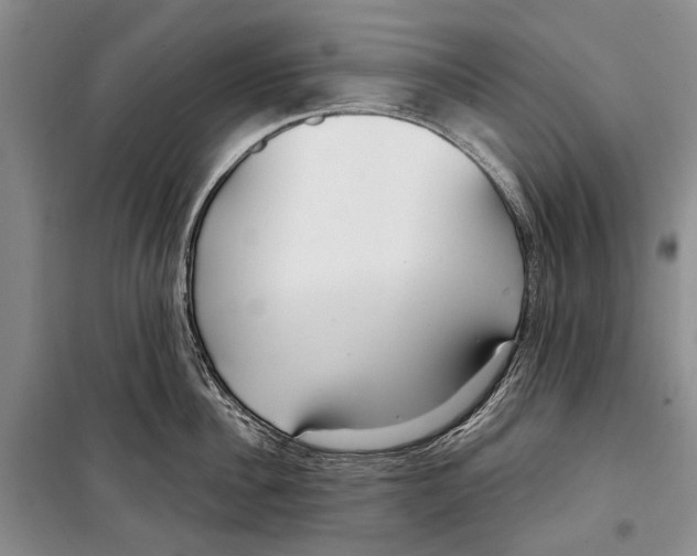 X0000098210956200805151250
