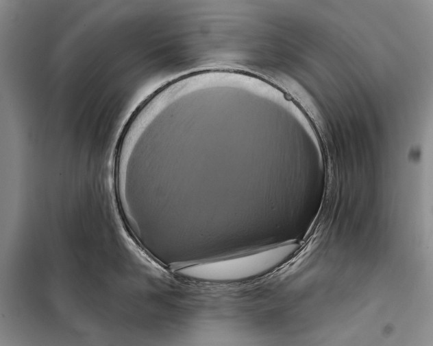 X0000098210958200805151250