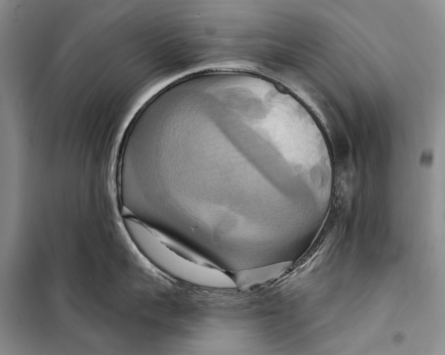 X0000098210959200805151250