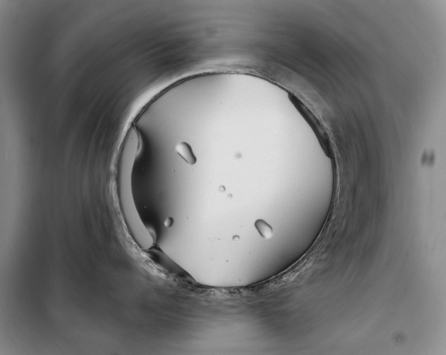 X0000098210960200805151250