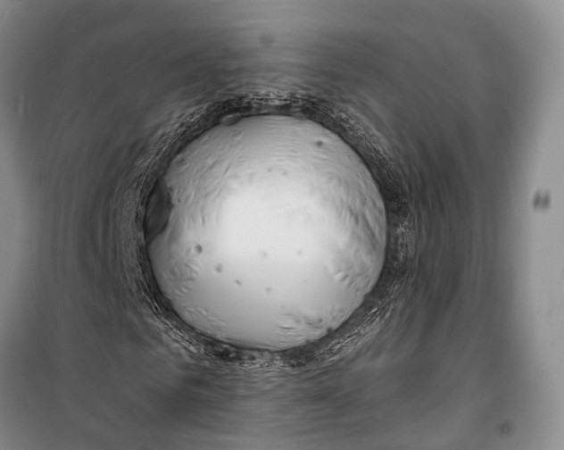 X0000098210961200805151249