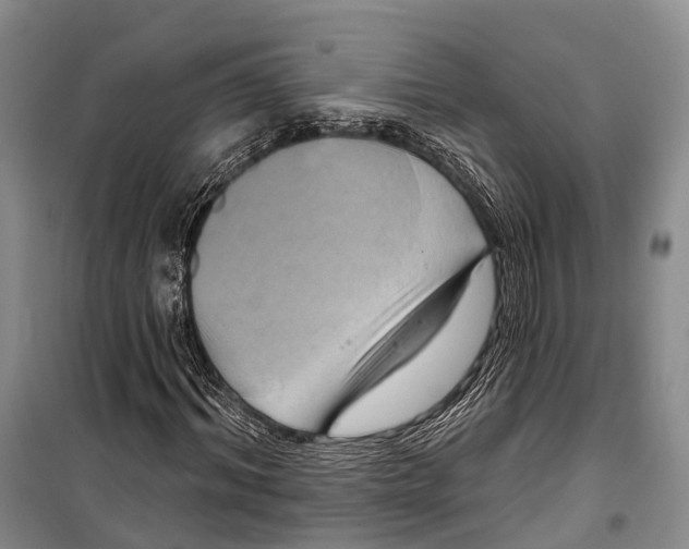 X0000098210964200805151249