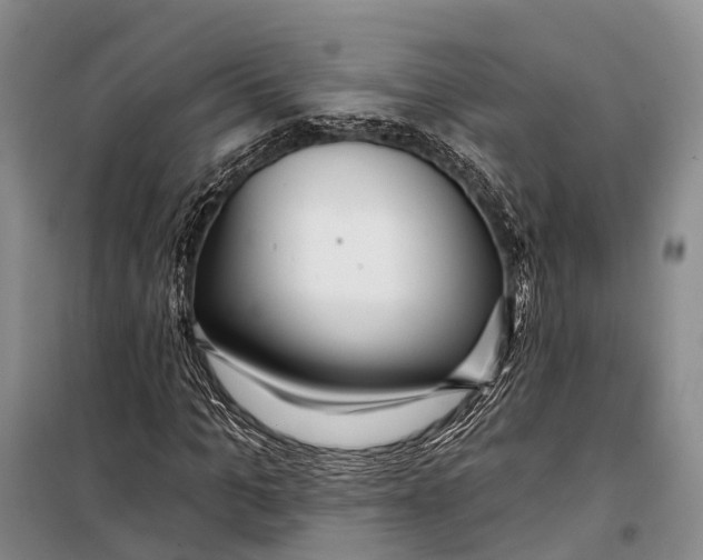 X0000098210965200805151249