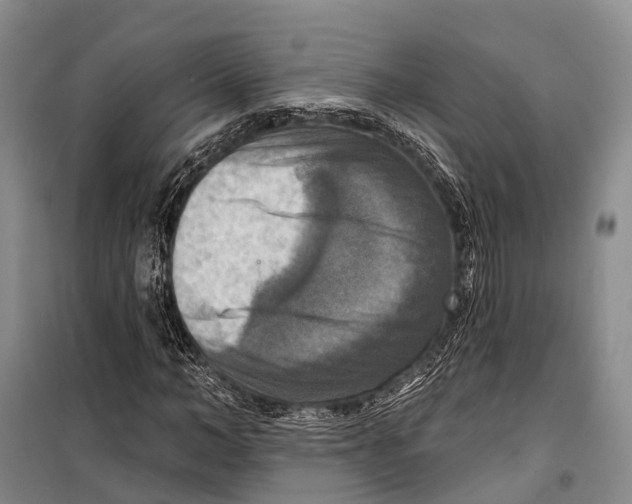 X0000098210966200805151249