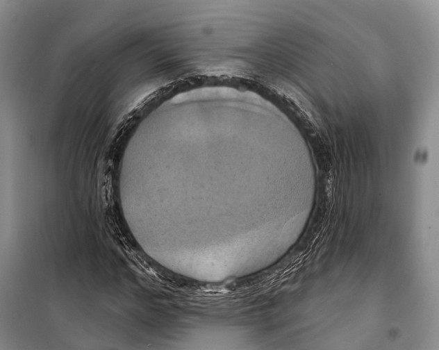 X0000098210968200805151249