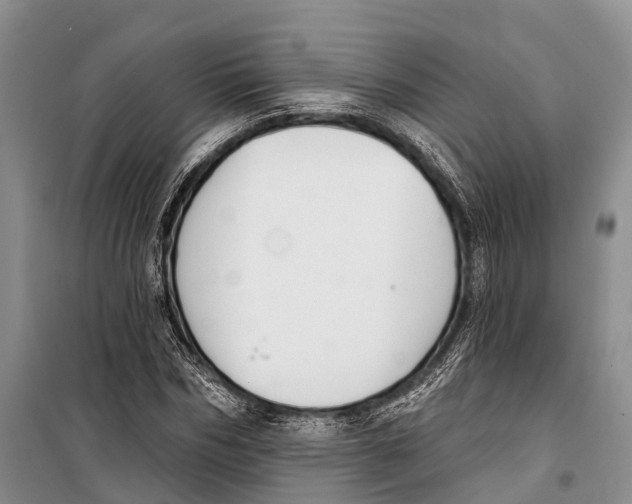 X0000098210970200805151249