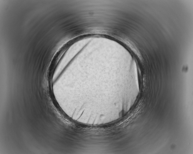 X0000098210972200805151249