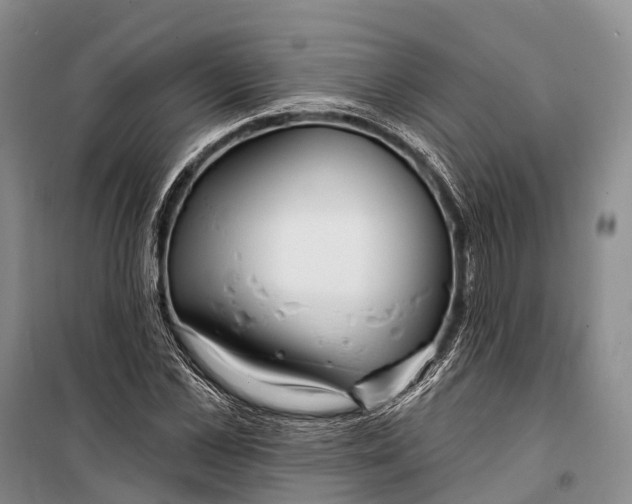 X0000098210973200805151249