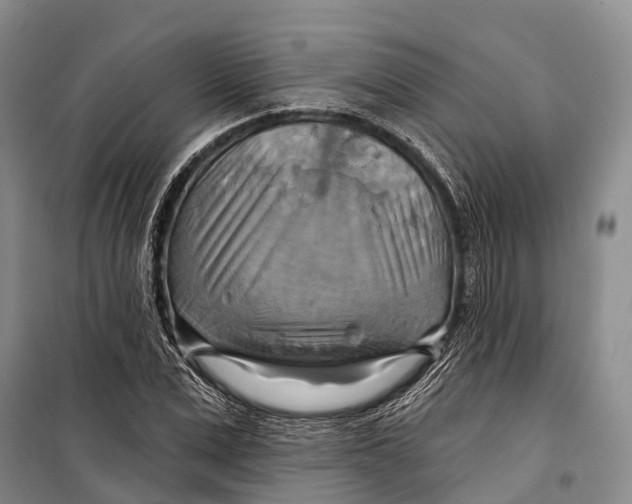 X0000098210975200805151249