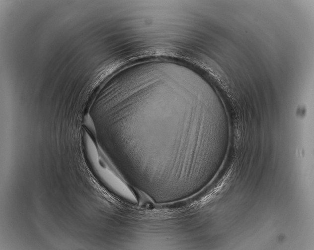 X0000098210977200805151249